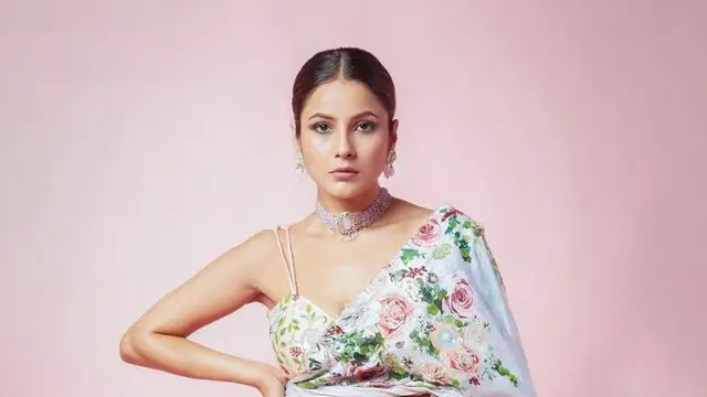 रिलेशनशिप में आना चाहती हैं Shehnaaz Gill? कहा- ‘मुझे बॉयफ्रेंड चाहिए…’