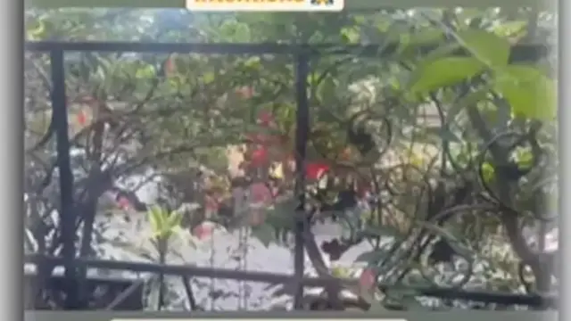 कंगना के ऑफिस के बाहर धरना-प्रदर्शन, दलाई लामा और अमेरिकी राष्ट्रपति को लेकर किया था विवादित ट्वीट