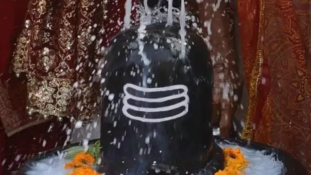 Vivah Upay: विवाह में हो रही है देरी, शुक्रवार को करें 5 उपाय, शीघ्र ही मिलेगा मनपसंद जीवनसाथी