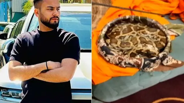 एल्विश यादव को मिली बड़ी राहत, जहर सप्लाई करने के मामले में कोर्ट ने दी जमानत;